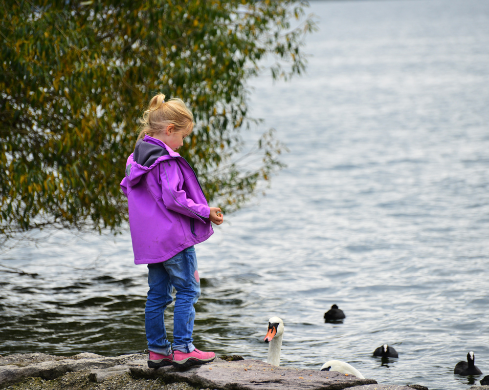 湖のほとりで...２