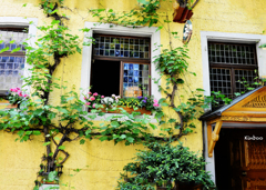 Meersburg 3