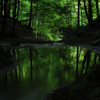 ND８
