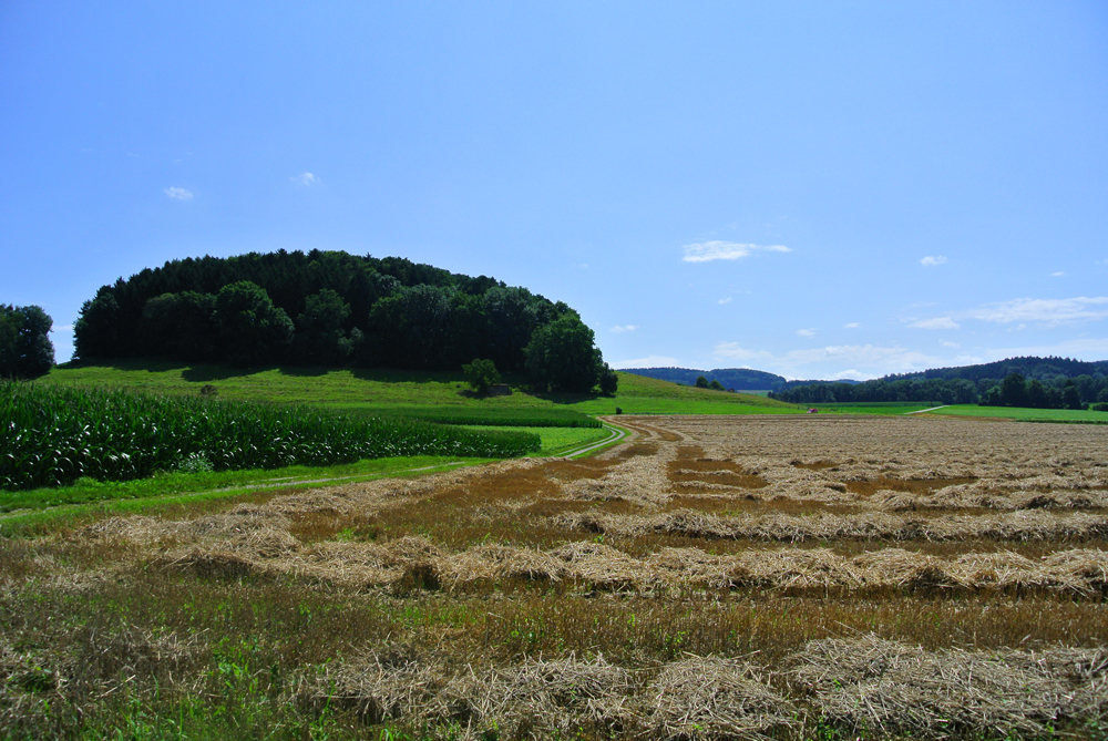 夏の風景２
