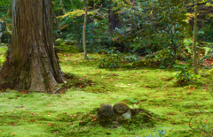 京都三千院　１