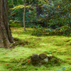 京都三千院　１