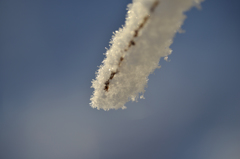雪の白