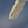 雪の白