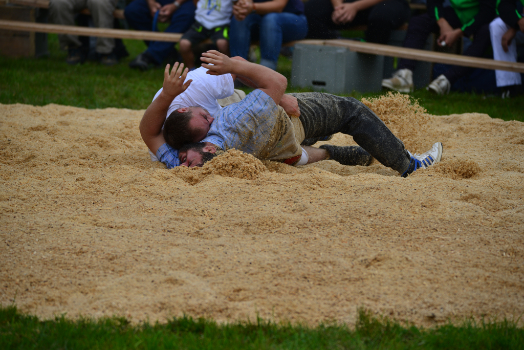 Schwingen1