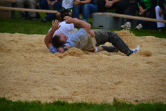 Schwingen1