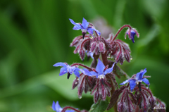 これはなんだろう？