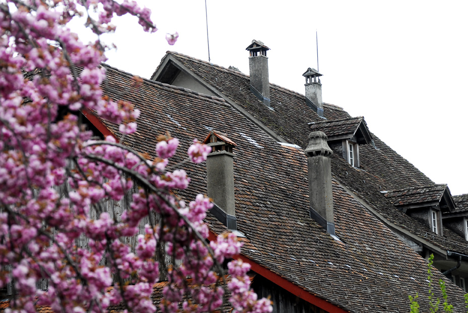 スイスの建物と...