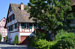 Elikon am Rein2