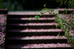 公園２