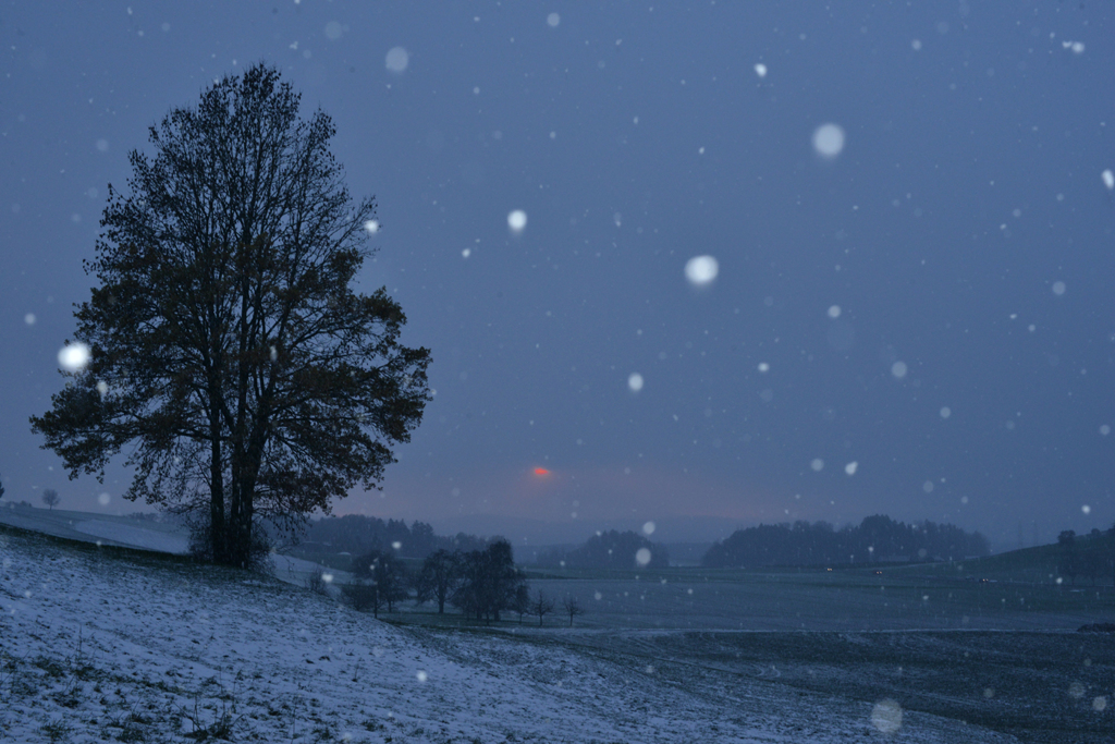 雪