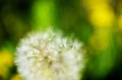 もうそんな時期