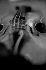 Violine