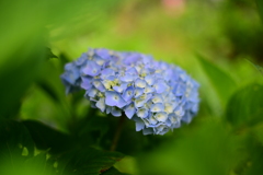 蓮華峰寺