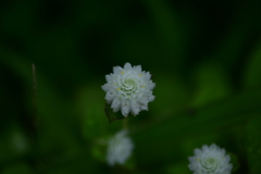 雨の中