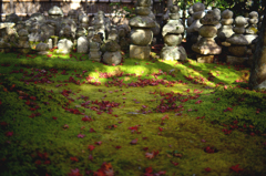 化野念仏寺　３