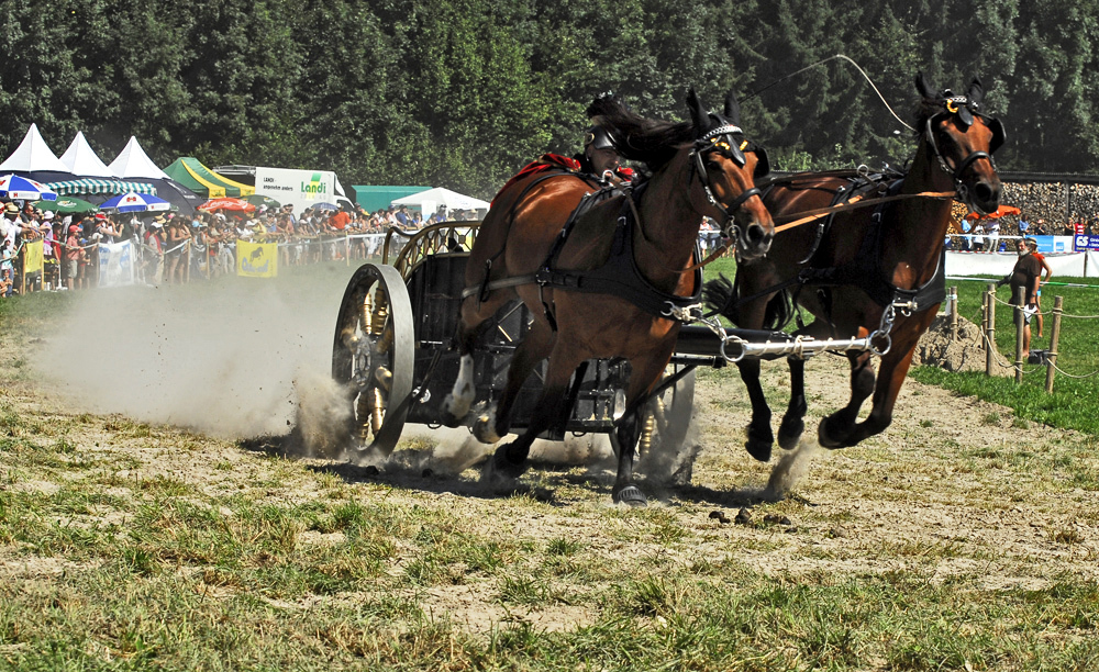 アガスールの競馬