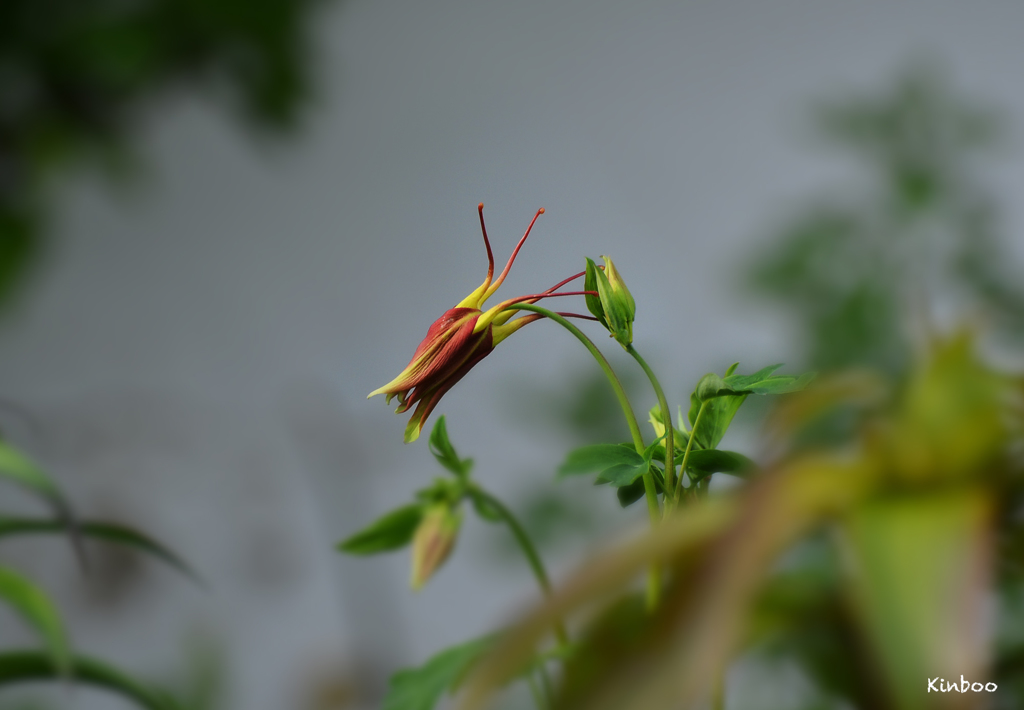 なんか〜ちょっと〜こわそう〜〜