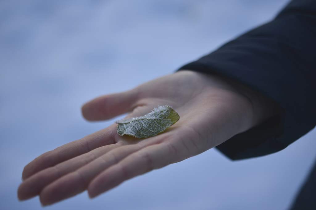 優しい手の上で〜