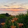 沢崎岬