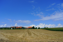 夏の風景１