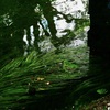 安曇野