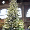 Merry X'mas