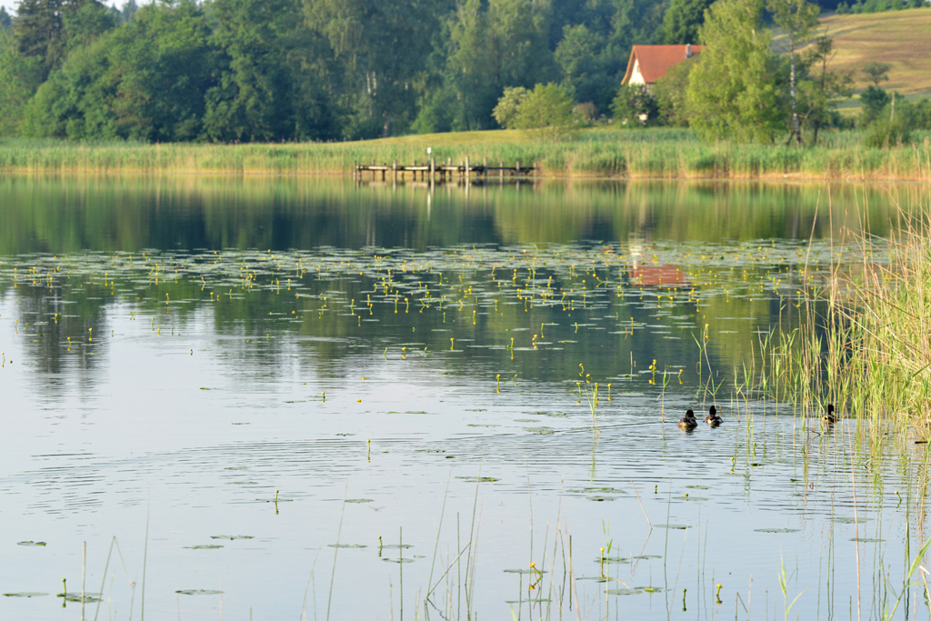 三脚が使えなかったので