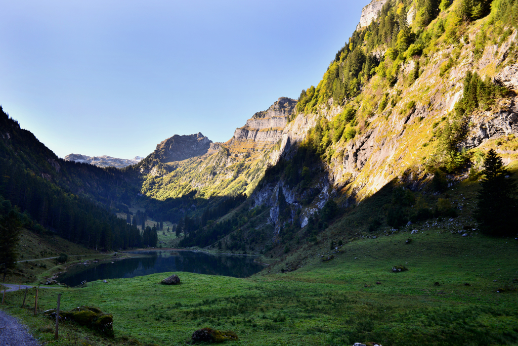 Talalpsee1