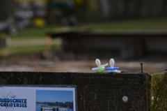 可愛い落とし物＾＾