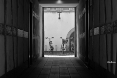 自転車置き場