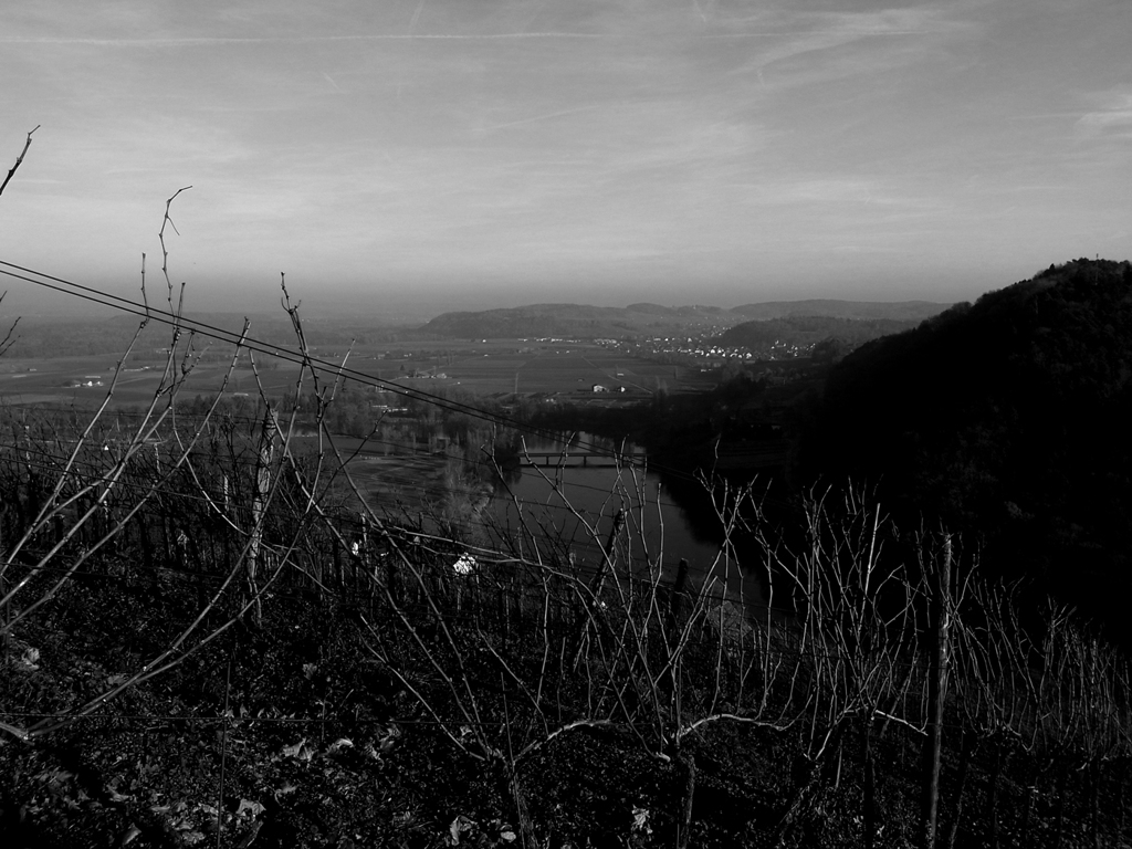 ライン川を見下ろして３