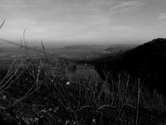 ライン川を見下ろして３