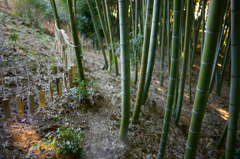 化野念仏寺　２