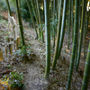 化野念仏寺　２