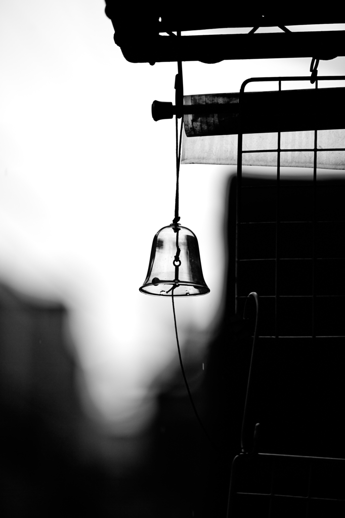 Furin