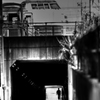 Under the train