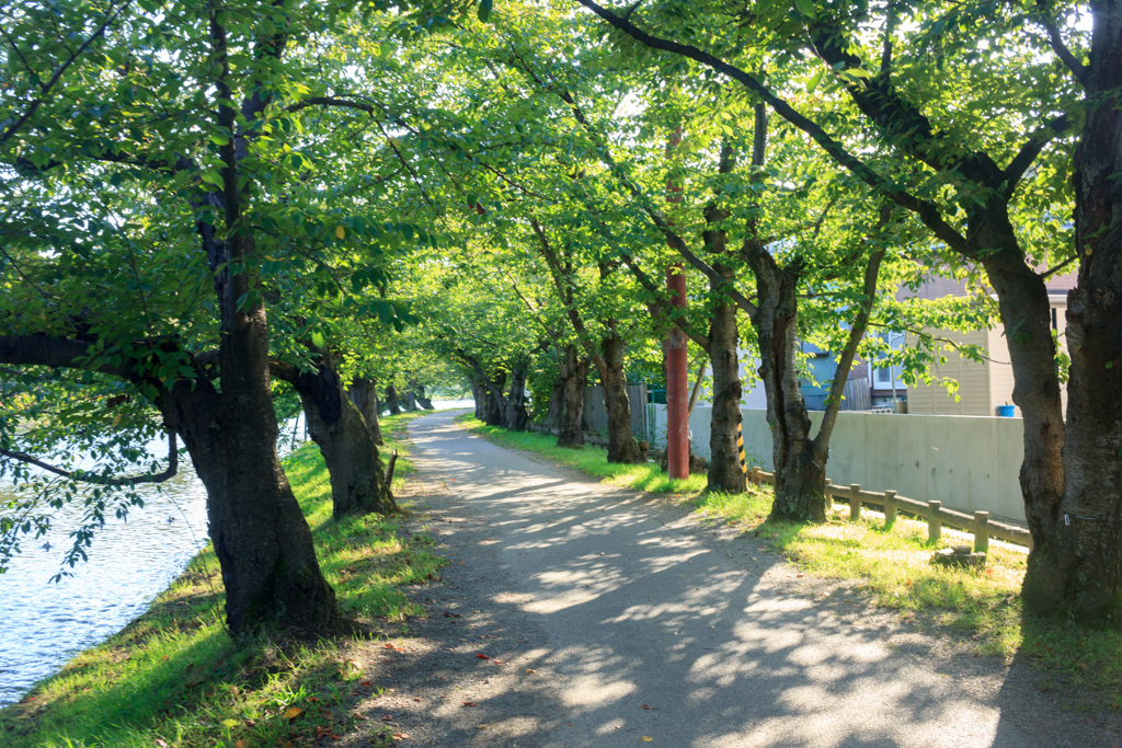 お堀沿いにて