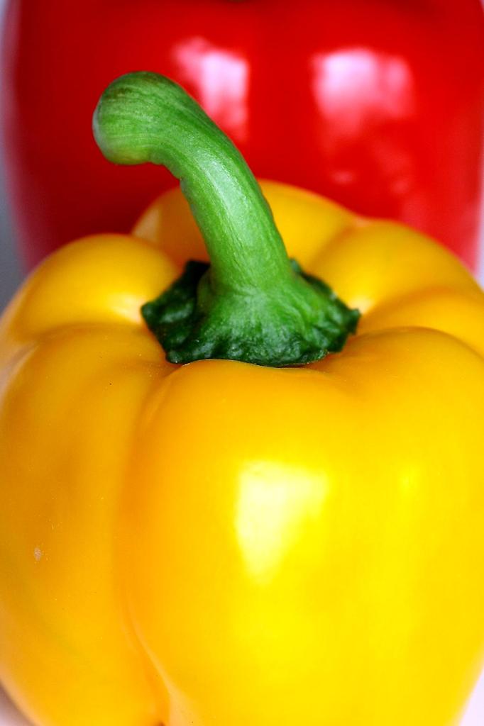 野菜とは・・・