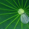 雨・・・