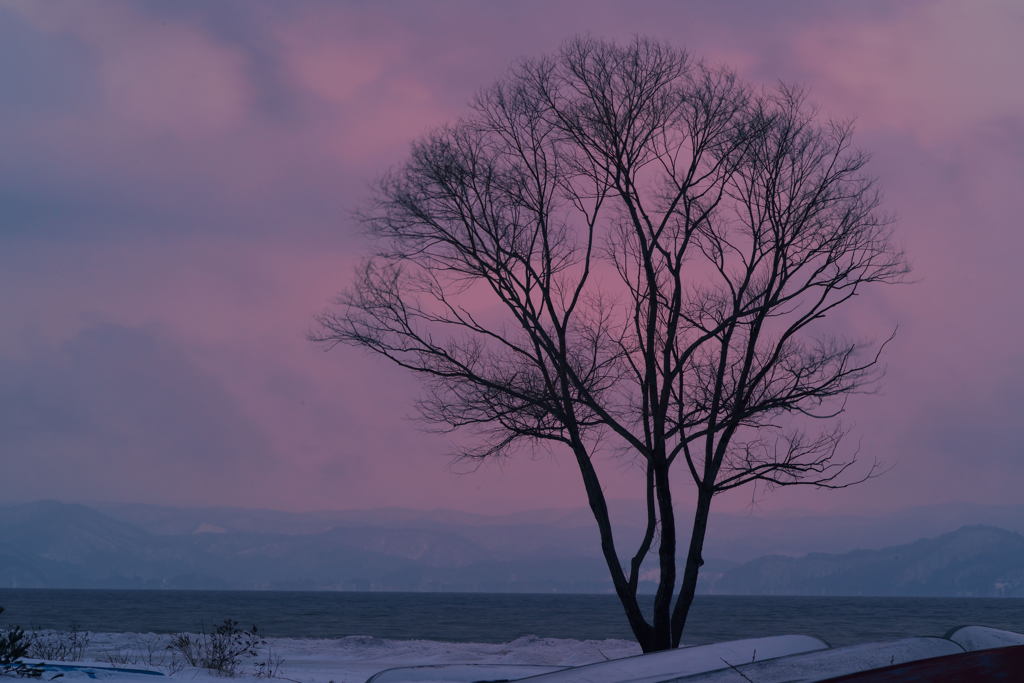 冬の夕景