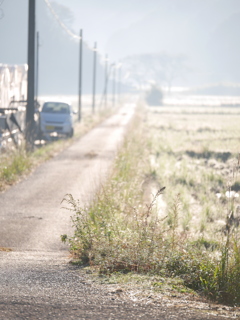 country road