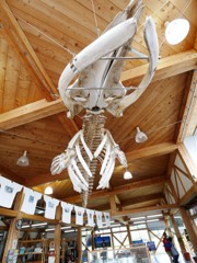 bone