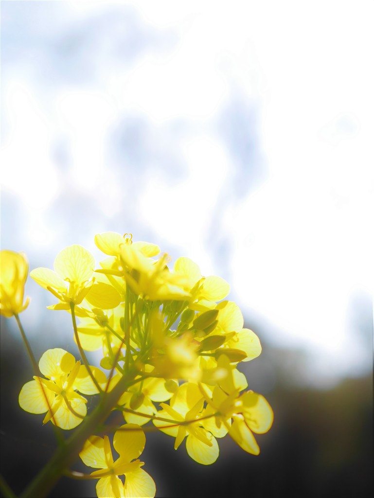 bright