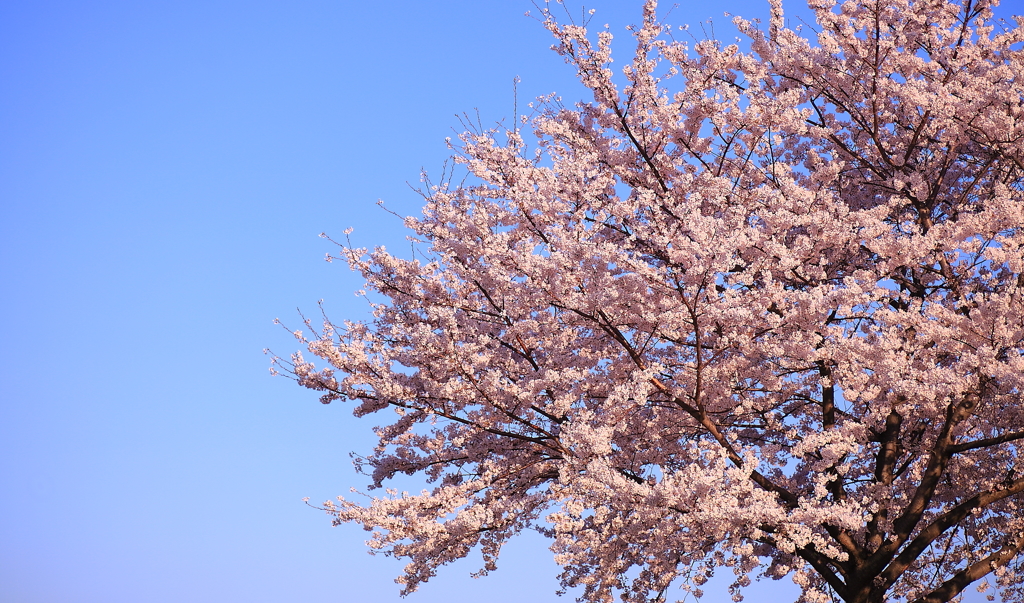 青空