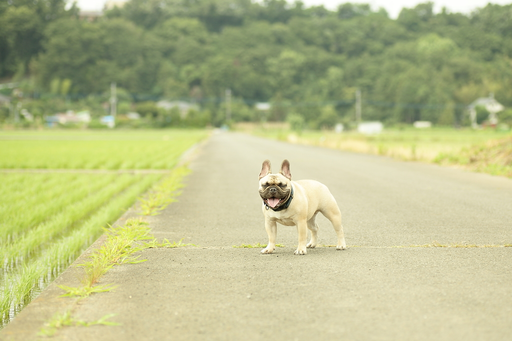 梅雨の合間