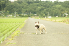 梅雨の合間