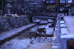 宮島09
