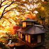 聴秋閣
