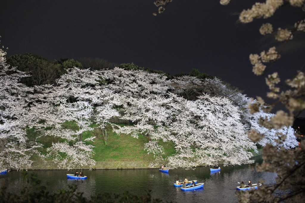 千鳥ヶ淵
